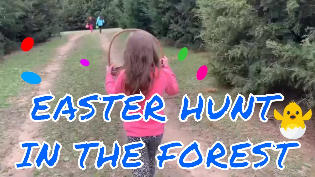 EASTER HUNT IN THE FOREST 
