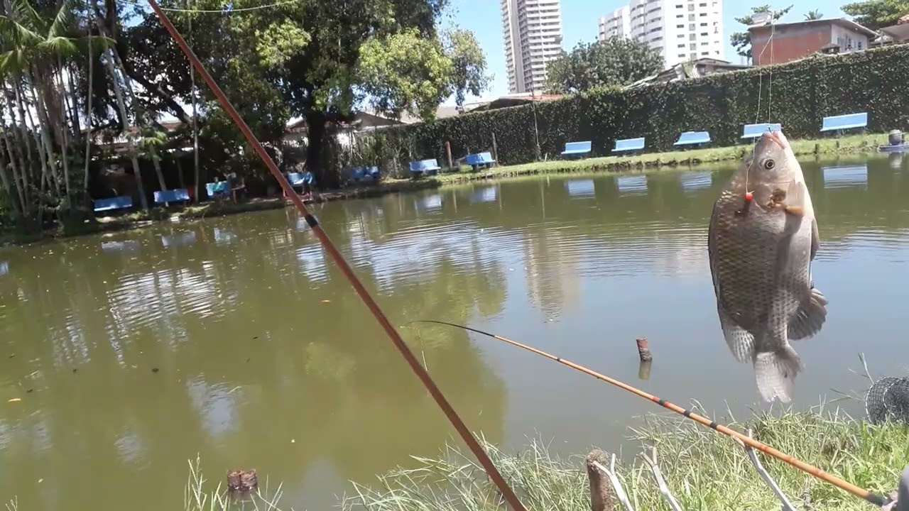 Mais uma boa pescaria com o palitinho mágico próximo vídeo mostro passo a passo 