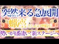 【さそり座さん🍁】突然来る急展開🔥1番凄い勢い✨‼️正当な評価👏必要な変化来る・自分の為に立ち上がる❤️【タロット・ルノルマン・オラクルカードリーディング】