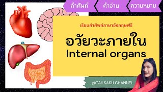 อวัยวะภายในร่างกาย | Internal Organs | คำศัพท์ภาษาอังกฤษ