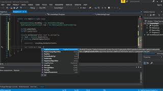 C# Keywords Asymmetric RSA Cryptography (RSAParameter Encryption)