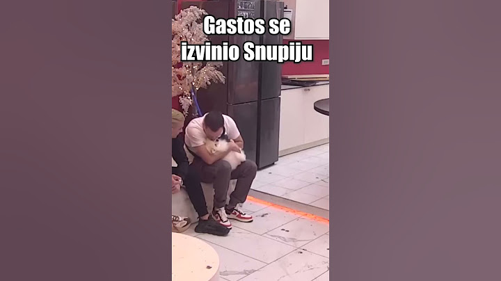 Gastoz se izvinio Snupiju🐾 za današnji haos  #gasttozz #burazengije #andjeladjuricic