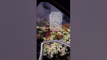 #إسلام_صبحي #سورة_الذاريات #em_lyooy #اكسبلور #لايك #اكسبلورر #ستوريات_سناب #تيك_توك #دعاء #ترند