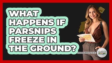 What Happens If Parsnips Freeze In The Ground?