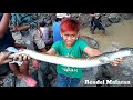 Malaking igat (Eel)(Kasili), ang nahuli namin sa sapa,( Big Eel hunt in the river)