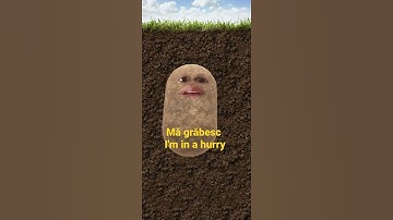 Learn Romanian Phrase #21 - Mă grăbesc = I