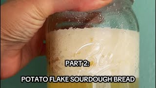 Soft Sandwich Bread using Potato Flake Sourdough
