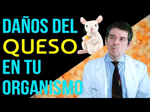 Vídeo: ¿El Queso Es Malo Para Ti? Beneficios, Riesgos, Información Nutricional