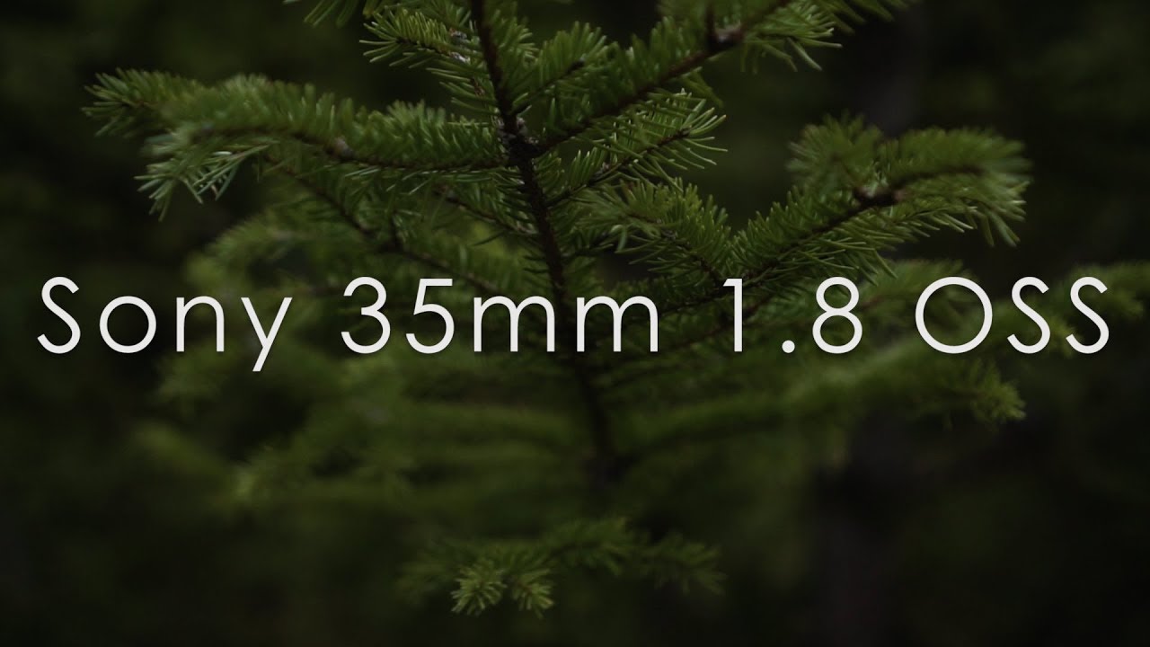 Sony 35mm 1.8 OSS Footage | Sony A 6000 - YouTube