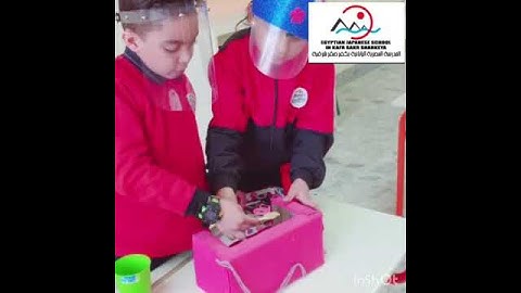 Discover session in Gr.3 at KafrSakr EJS Simulate various bird beaks competing for different foods.