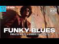 🔥 Pure Funk, Steady Focus | Funky Blues for Work | Vol. 17