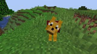 Minecraft Datapack Tutorial; How To Add Custom Wolf Variants 24w10a+ by Prisms MC 176 views 2 months ago 3 minutes, 48 seconds