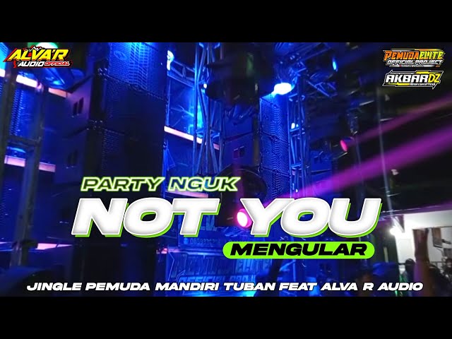 DJ NOT YOU PARTY NGUK MENGULAR FULL BASS TERBARU ‼️JINGLE PEMUDA MANDIRI TUBAN FT ALVA R AUDIO class=
