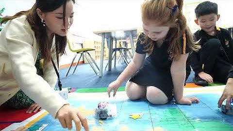 Theme based teaching: Learning pathway in Year 2