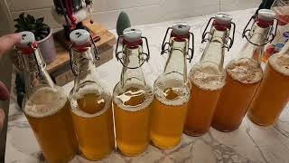 Famous Complete Kombucha Guide:  Basic Brewing and Secondary Fermentation Bottling Net Worth