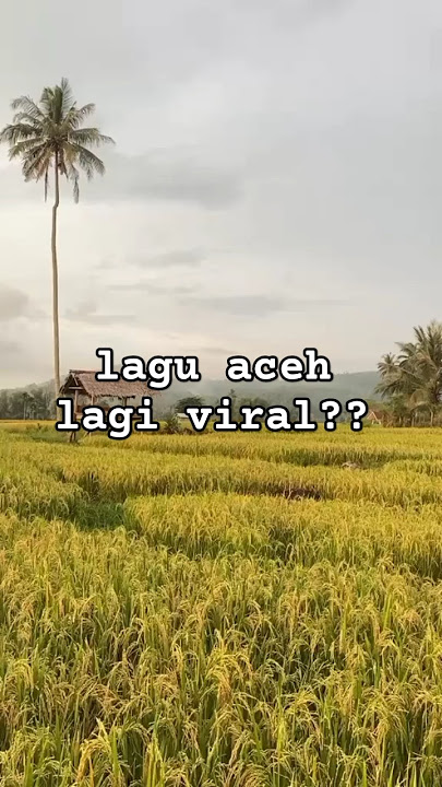 lagu Aceh viral Rafli Kande