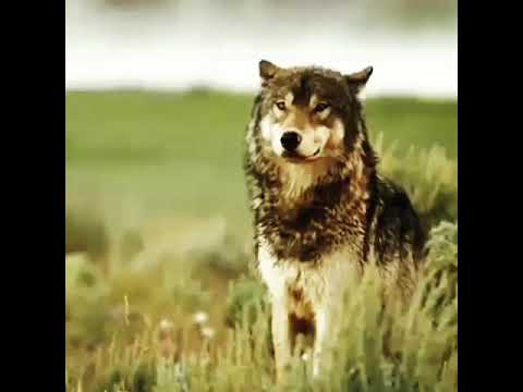 Мудрость всех времен Мудрость всех времен