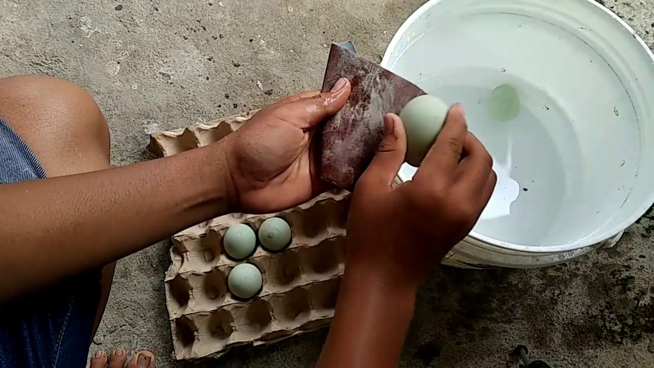 Cara membuat telor asin - YouTube
