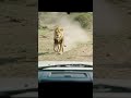 Oh no, it’s coming right at me!