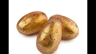 Golden Egg (new version vs. original version) | Lush Archive