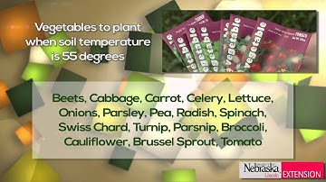 Soil Temperatures for Planting