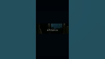 عبدالرحمن مسعد #قرآن #quran #القرآن_الكريم #islam @qu.is.1 #اكسبلور #راحة_نفسية #تلاوة_خاشعة #لايك