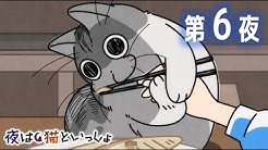 アニメ 夜は猫といっしょ チャンネル Youtube
