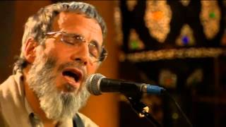 Video thumbnail of "Yusuf Islam - Wild World Zulu Version (Live Yusuf's Cafe Session 2007)"