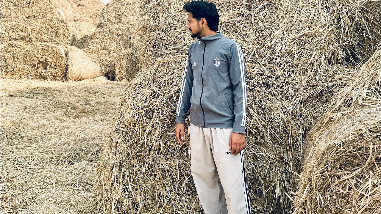 Making gund k laddu represent for haryanvi culture 🔱