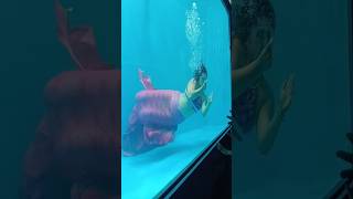 π§ββοΈ Water Queen of the Mela | Jalpari Show 2025 #jalpari #mermaid #mela #show #shorts