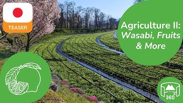Japanese Agriculture II | 360 8K3D Teaser | Learn Japanese in VR | DYNAMIC LANGUAGES
