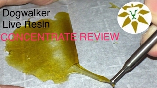 Dogwalker Live Resin Concentrate Review