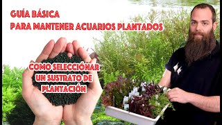 Guía básica para mantener acuarios 🌿plantados ☘️ SUSTRATOS NUTRITiVOS