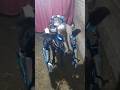 tutorial Cyborg buffaloes baby  filter #cyborg #filter  #funny #trending