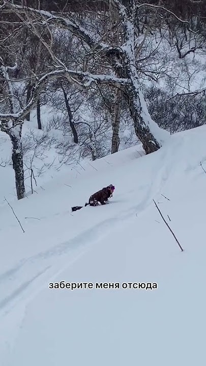 Фрирайд это жизнь 😂 #камчатка - YouTube