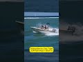BOATS IN 4K AT THE JUPITER INLET #roughinlets #jupiterinletboats #boats