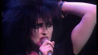 Watch Siouxsie  The Banshees Tenant video