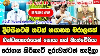 hiru news BREAKING NEWS | ada Special announcement by CEB now | News Today Here is special news jus