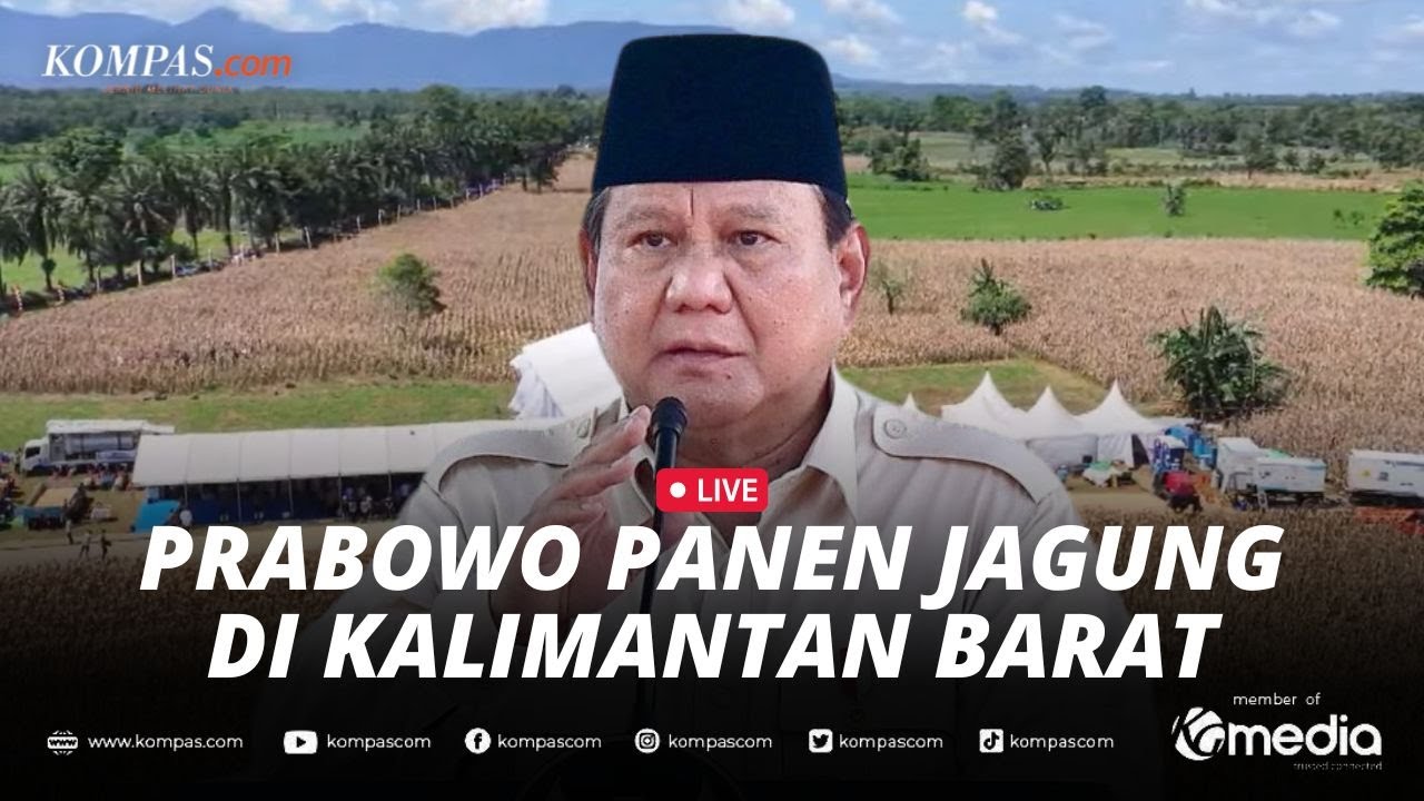 🔴 LIVE - Prabowo Panen Jagung di Kalbar, Siap Ekspor ke Malaysia