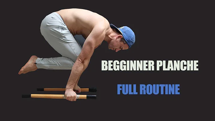 Beginner Calisthenics Routine (FULL ROUTINE)