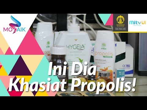 Video: Propolis - Pengobatan Dan Penggunaan, Khasiat Obat Dan Manfaat Propolis. Tingtur Propolis Di Rumah