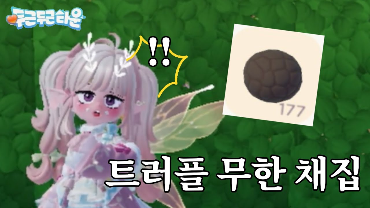 두근두근타운 ‘트러플섬‘ 만드는 법!