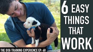 6 Things That Will Make it EASY to Train Your Dog!