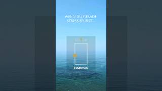 Wenn du gerade Stress spürst → atme so #breathwork #nervensystem #entspannung #atemtechnik