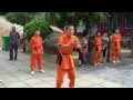 Dmonstration kungfu shaolin au temple fawang