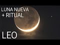 LEO LUNA NUEVA 🌑 + RITUAL…UN RESULTADO DE ORO!!!…🙌🏻☀️🙌🏻