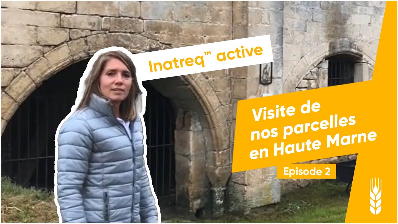 Inatreq™ active : visite de nos parcelles en Haute Marne - épisode 2