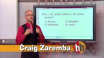 Homework Hotline: Understand Proteins