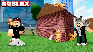 Saklanan Kedileri Bulabilir misin? Kedileri Bul - Panda ile Roblox Find the Cats screenshot 5