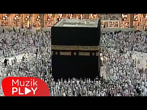 Alma Tenden Canımı - Yolcular